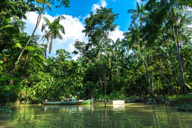 <p>Belem, the ‘gateway to the Amazon’ is the series two start line </p>