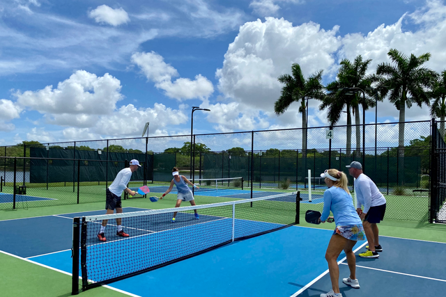 <p>Pickleball has been declared the fastest-growing sport in America for the third year running</p>